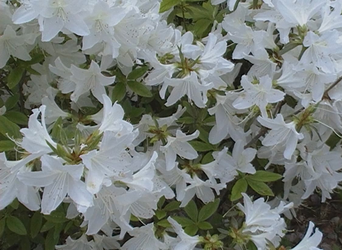 삼성 SMX-F34 캠코더 상품이미지7