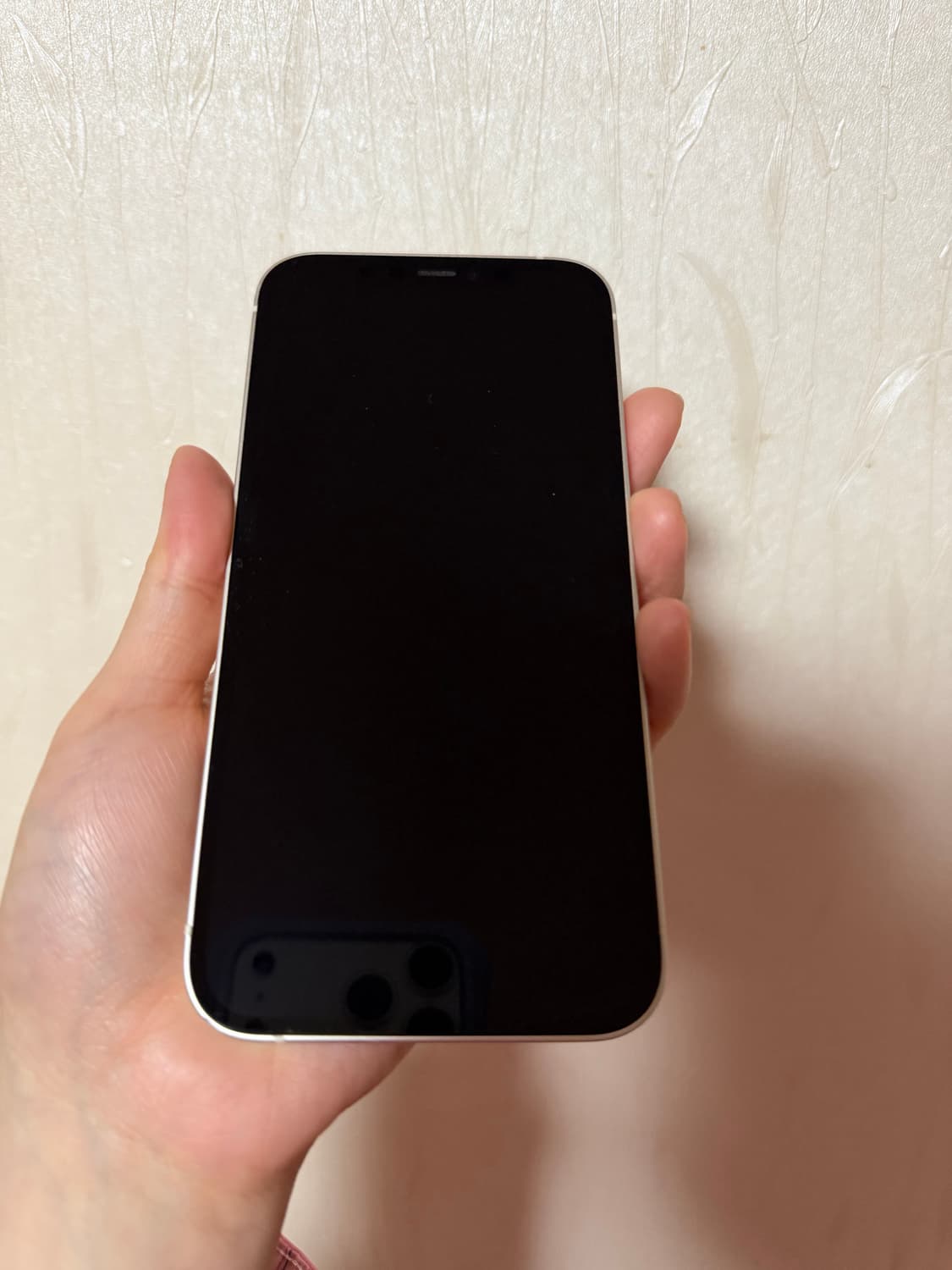 아이폰 12 256GB 상품이미지2