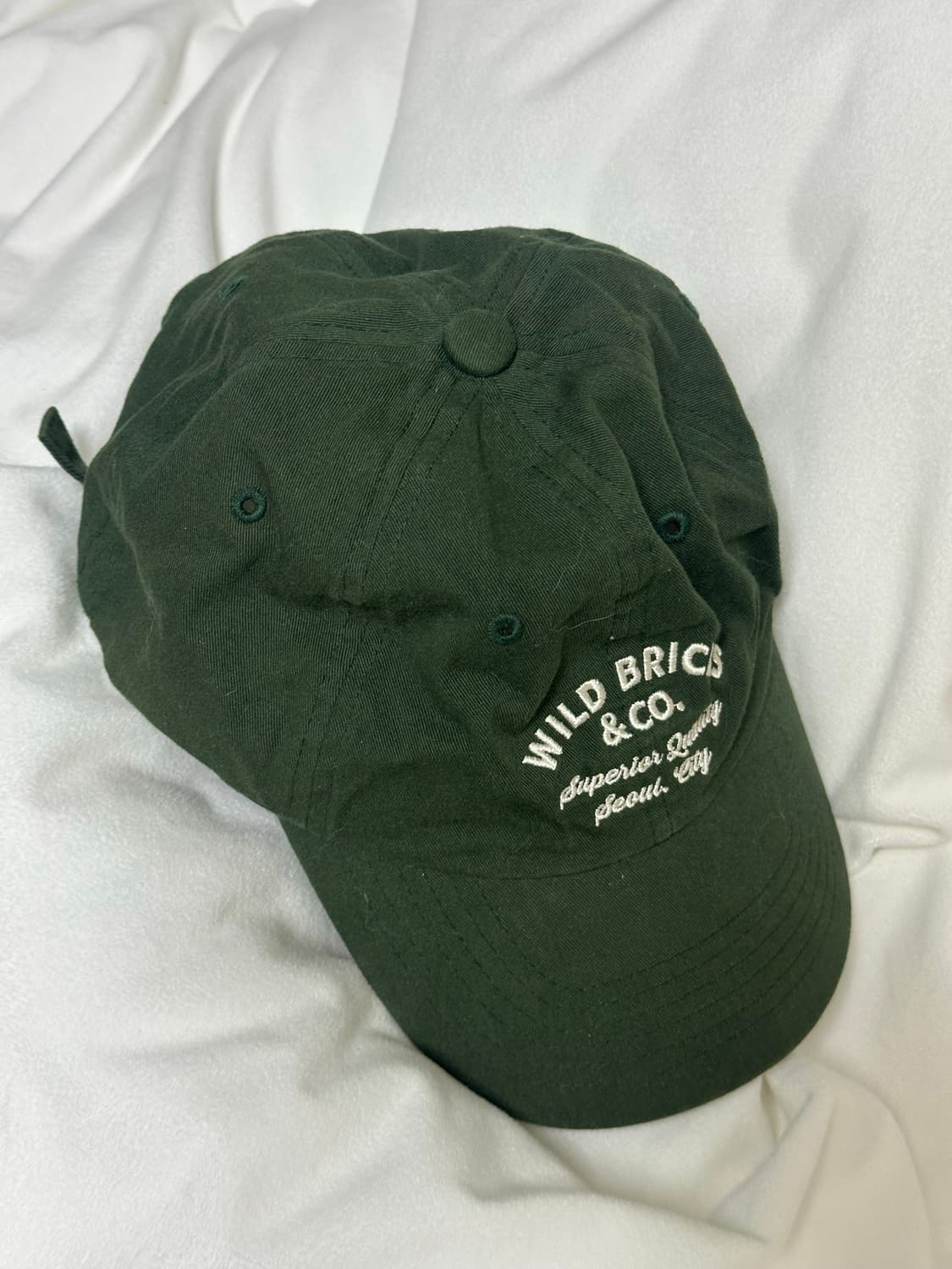 Wild Bricks Logo Cap green 상품이미지1
