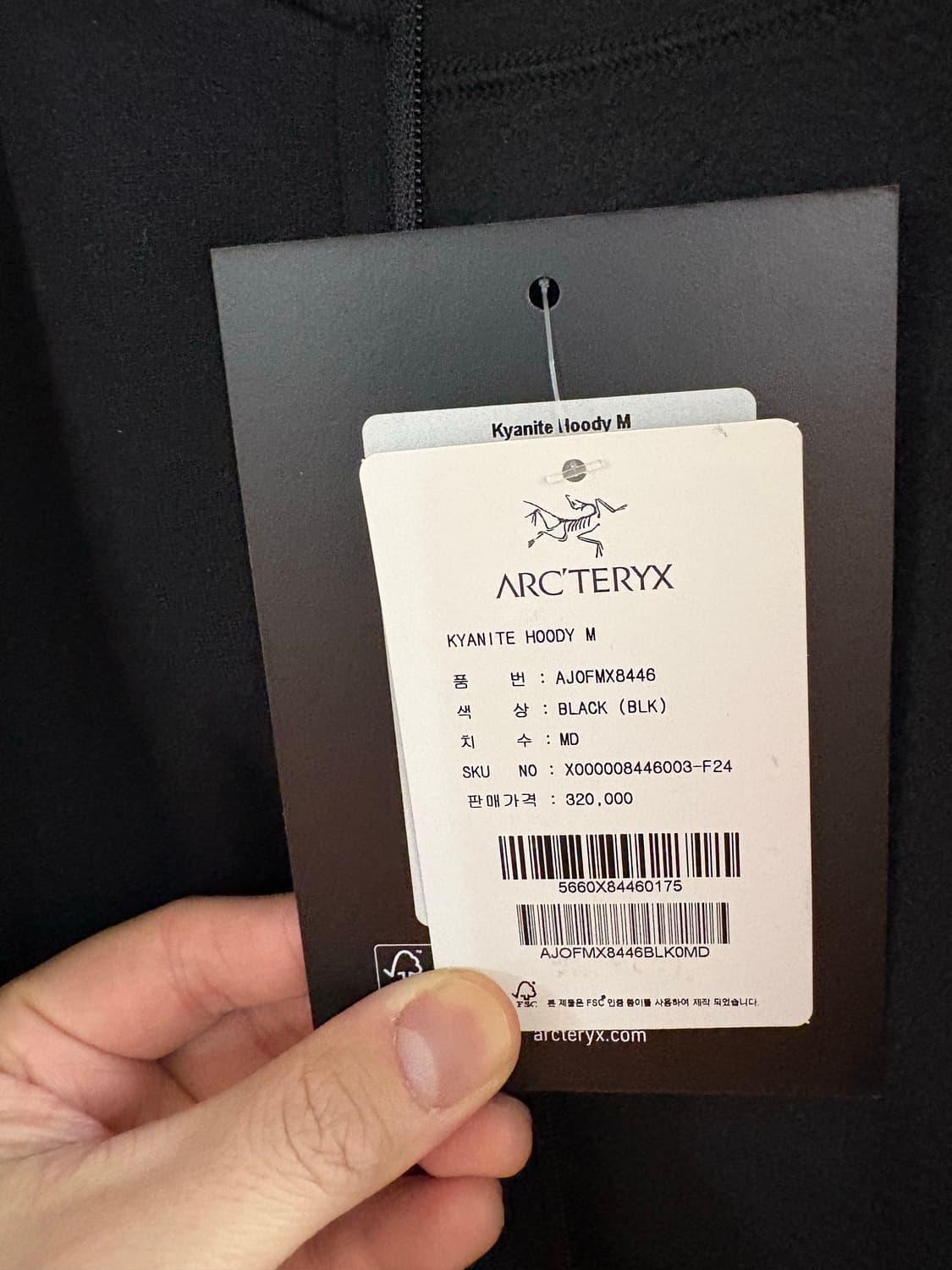 아크테릭스 카이어나이트 후디 M 블랙 상품이미지4