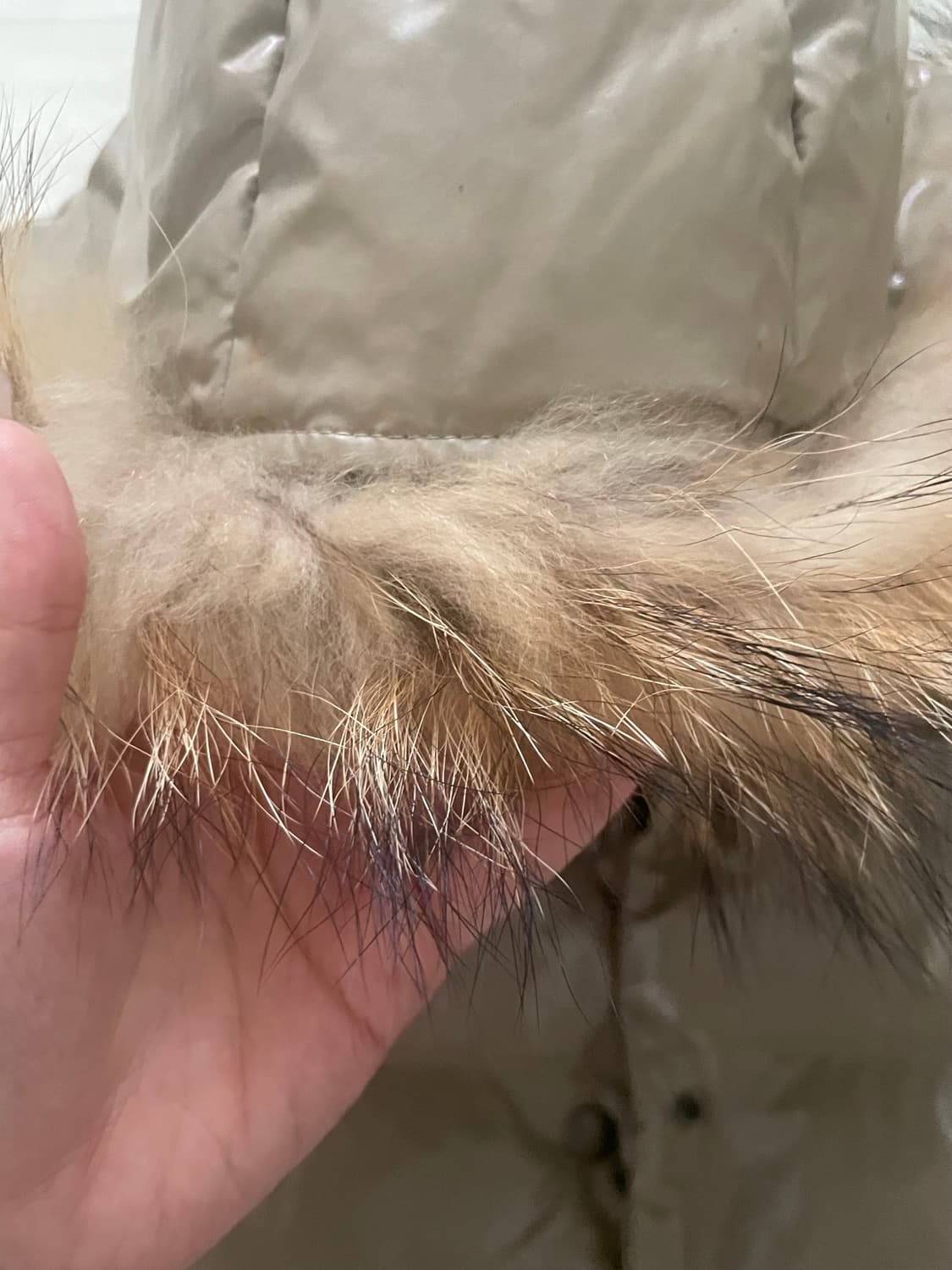 일본 빈티지 라쿤털 다운 글로시 크롭패딩 상품이미지8