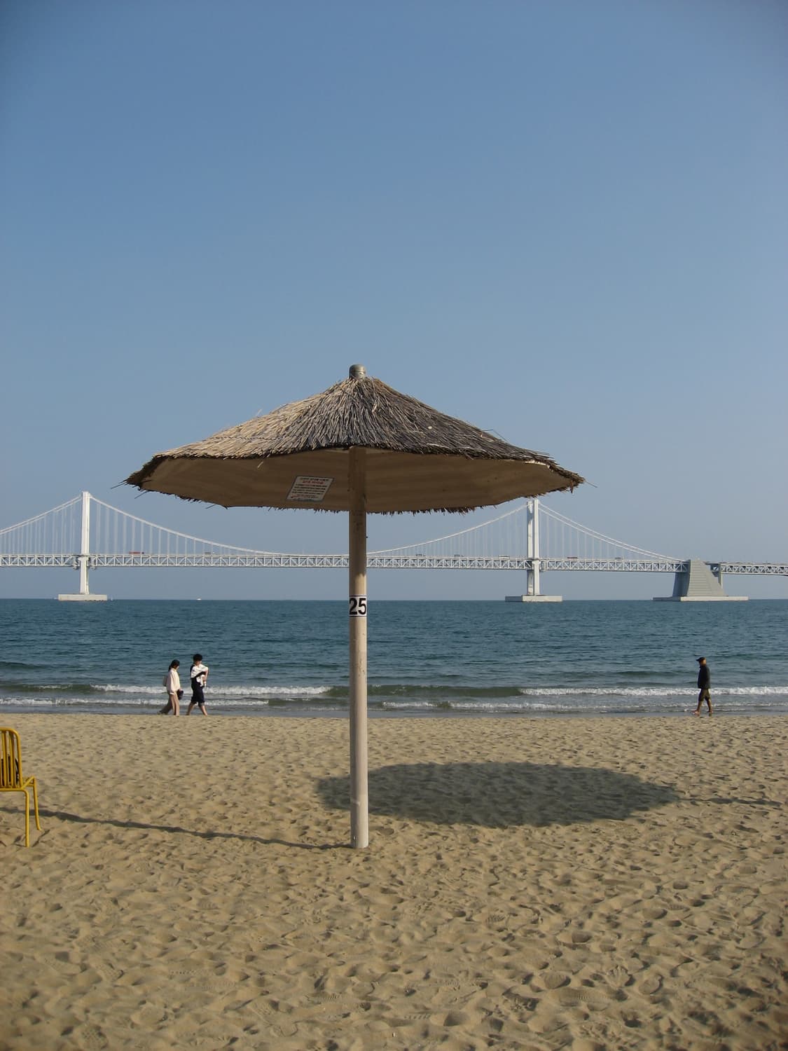 (인물/뽀용)Canon IXY 800 IS 캐논 익서스 IXUS 800 상품이미지4