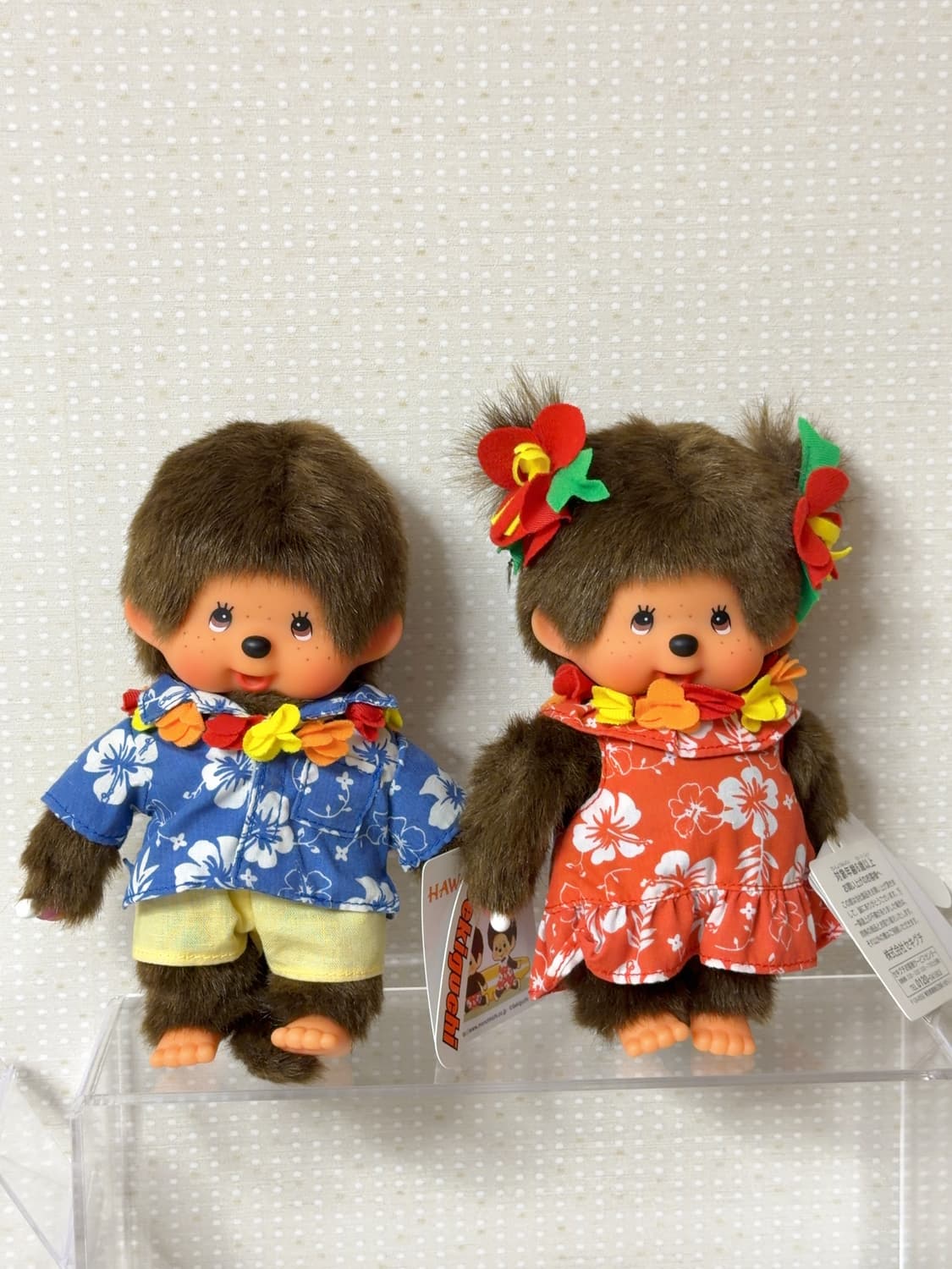 하와이 몬치치 세트 상품이미지1