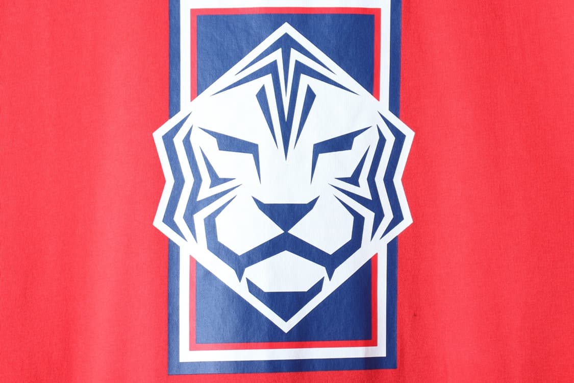 (L-XL) 나이키 반팔 티셔츠 축구 한국국대 월드컷-H30198 상품이미지5