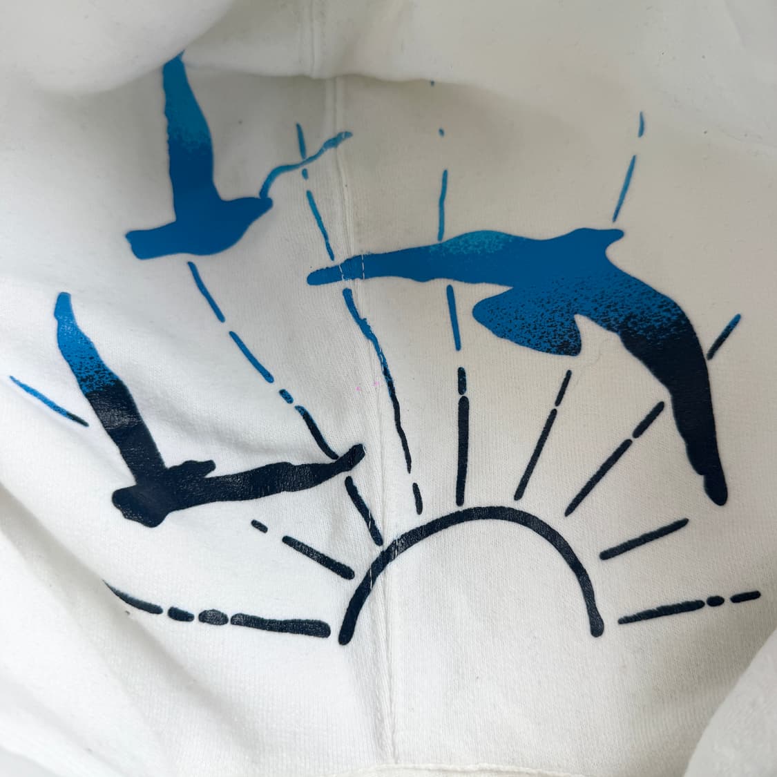 홀리스터 Y2K 딱붙 서프 말리부 후드집업 상품이미지5