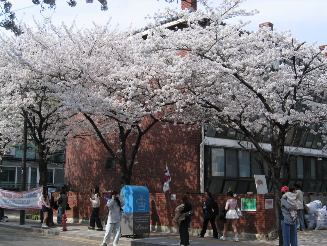 캐논 파워샷 canon powershot S50 디지털 카메라 상품이미지9