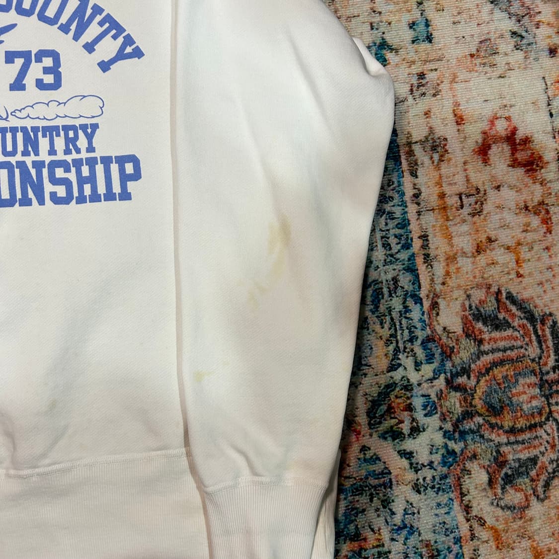 [L] 체스윅X워너브로스 로드러너 스웻셔츠 맨투맨 상품이미지4