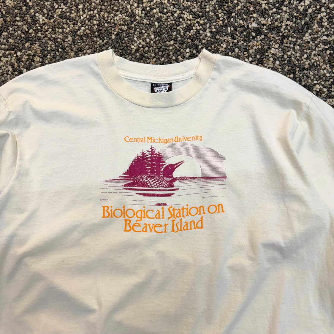 90s 스크린스타즈 롱슬리브 티셔츠 made in USA (XL)  상품이미지2