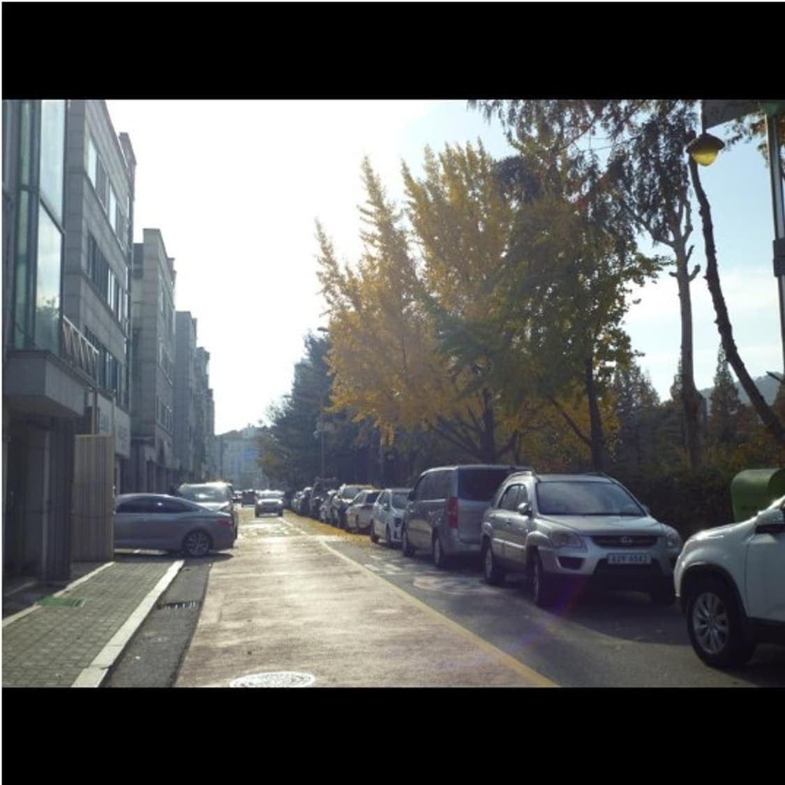 작례⭕️ 파나소닉 루믹스 DMC-S1 빈티지 디카 디지털카메라 상품이미지4