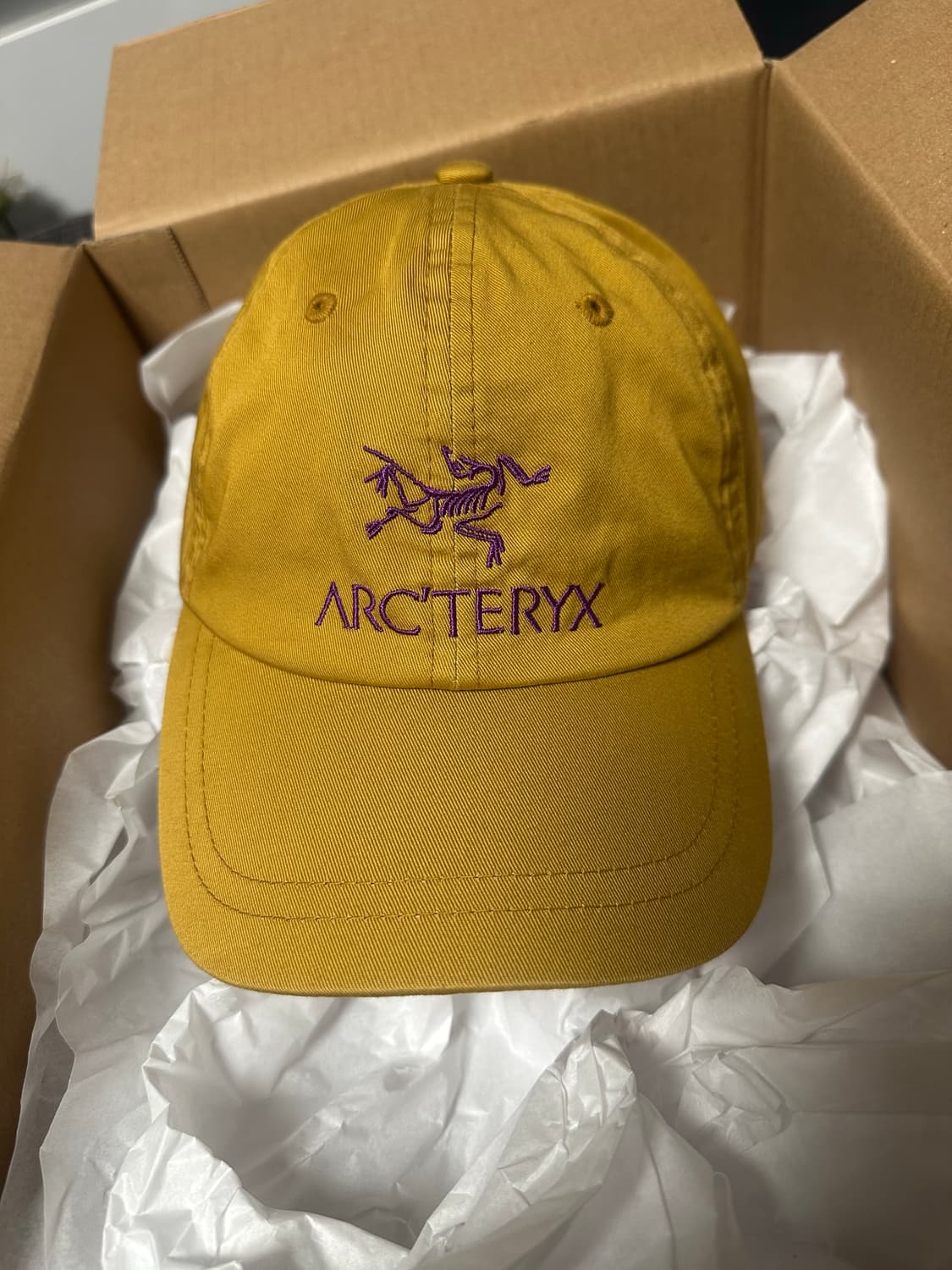 아크테릭스 팔라스 20fw 6패널 캡 골드 상품이미지1