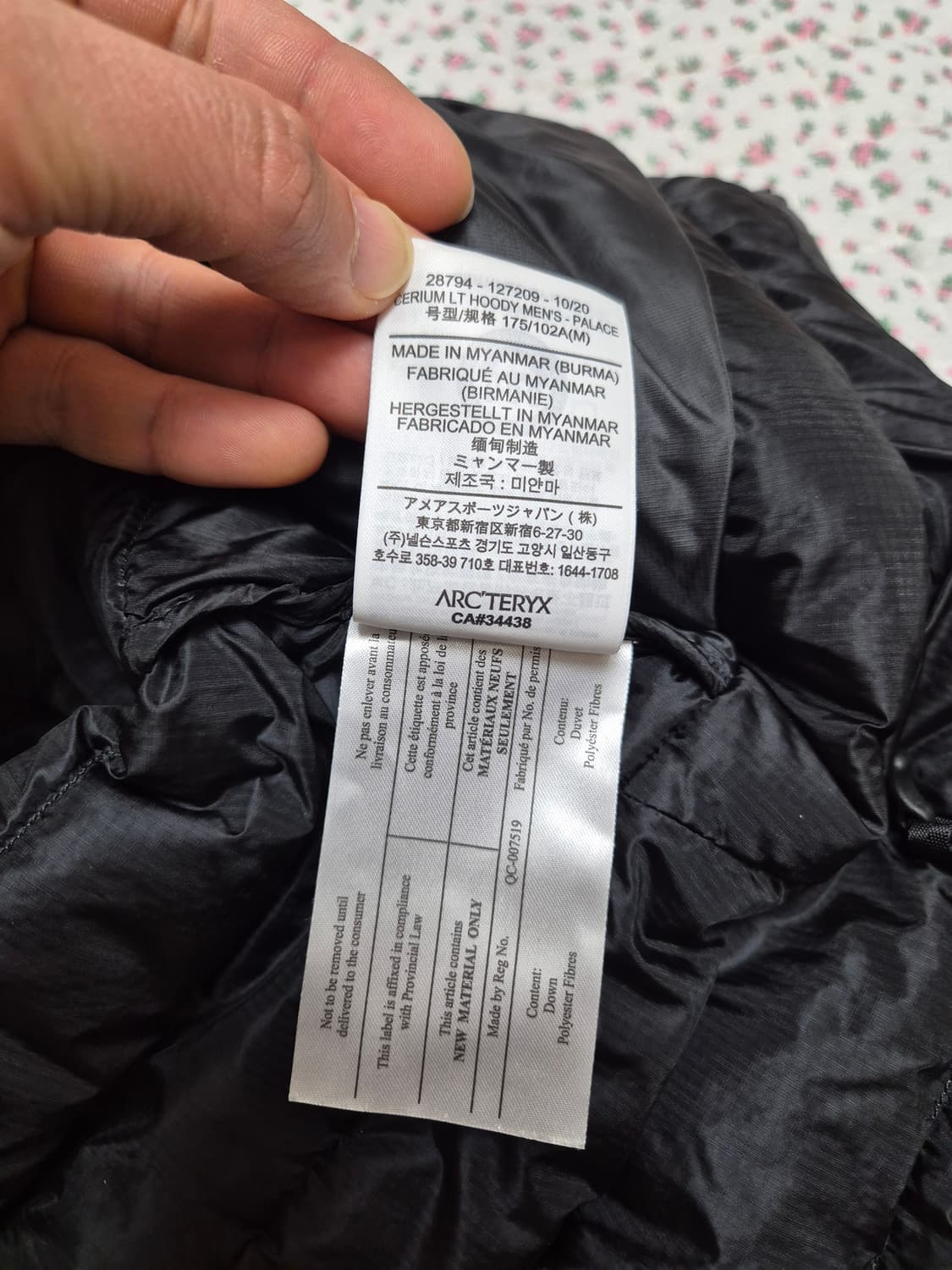 M) 아크테릭스 팔라스 세륨 lt 후디 상품이미지7