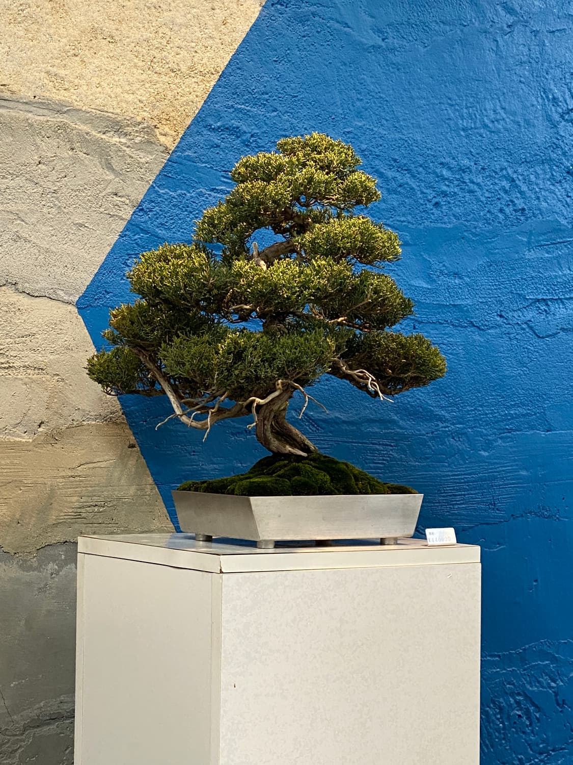 nikekiki 상품이미지1