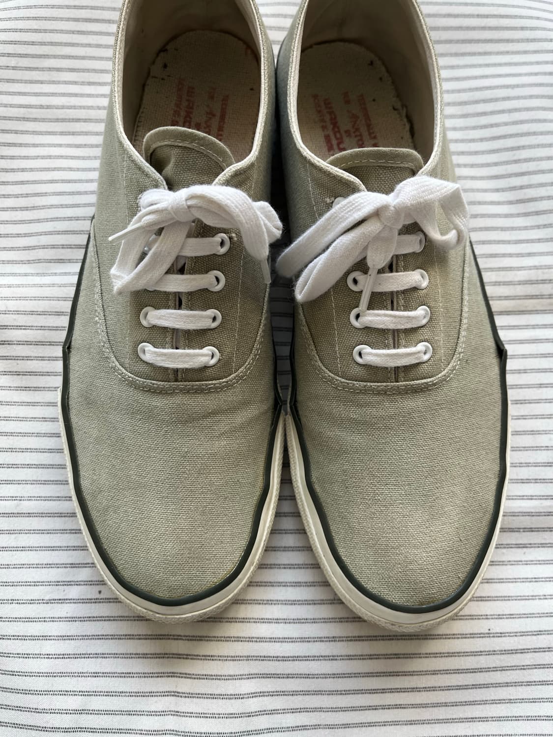 아나토미카 와쿠와 (265-270) 상품이미지3