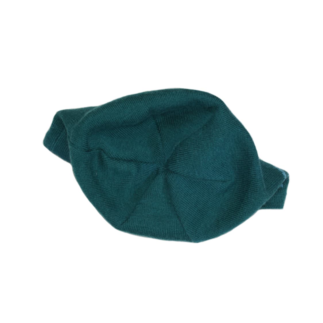 ARCTERYX 스켈레톤로고비니 상품이미지3