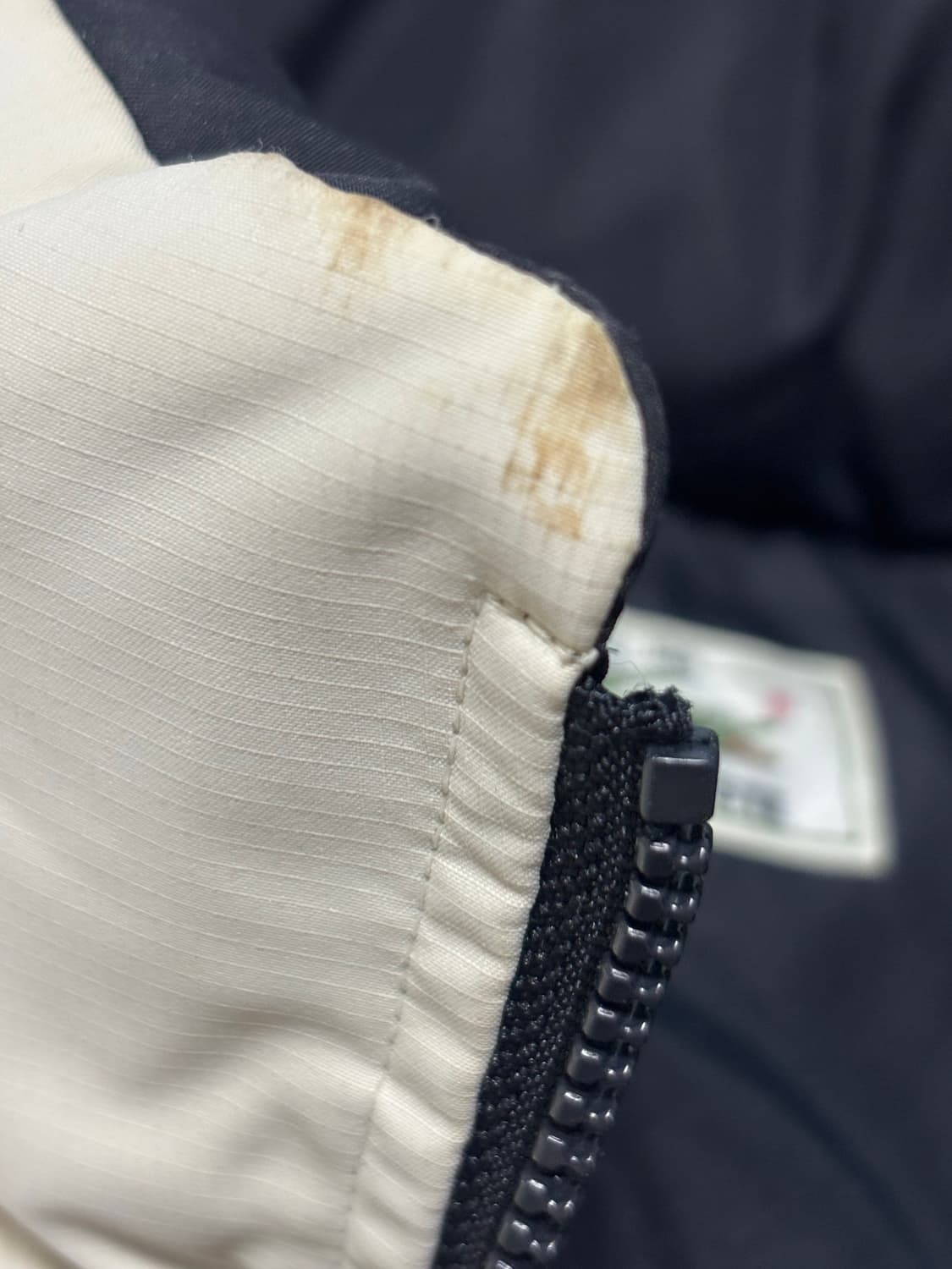 라코스테 패딩 105 상품이미지4