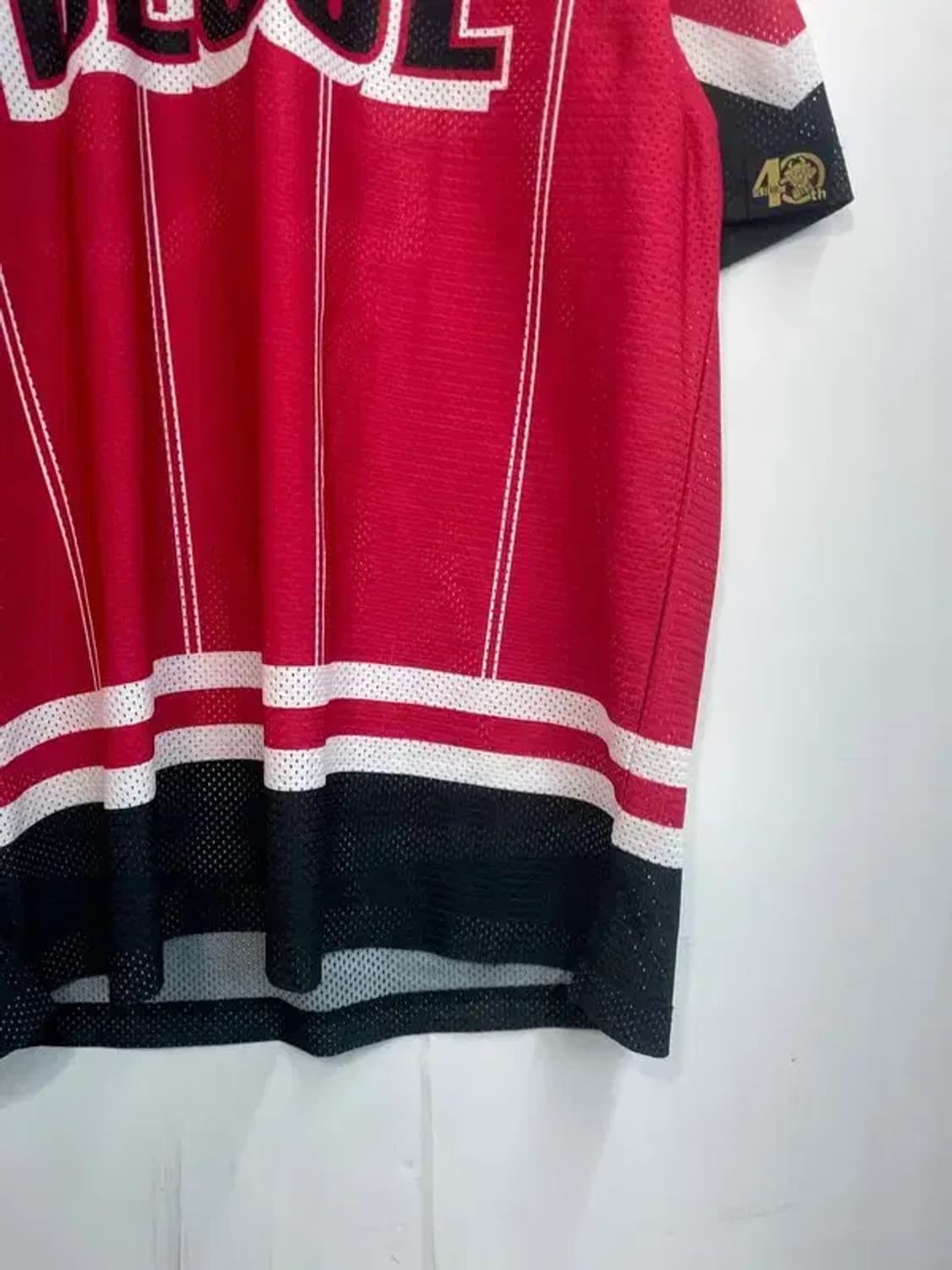 프로스펙스 x FC 서울 2023 메쉬 저지 플러스 스트라이프 상품이미지3