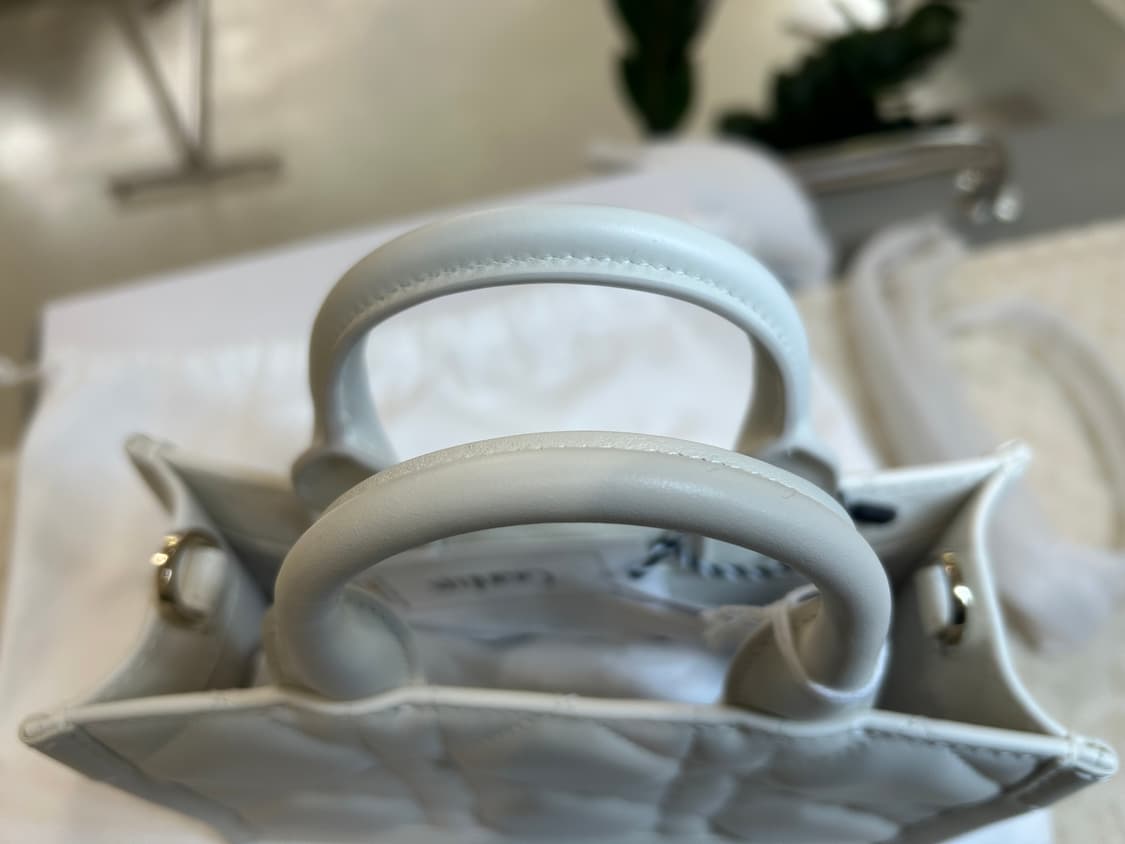 [정품/중고] 디올 까나쥬 북토트 미니백 상품이미지5