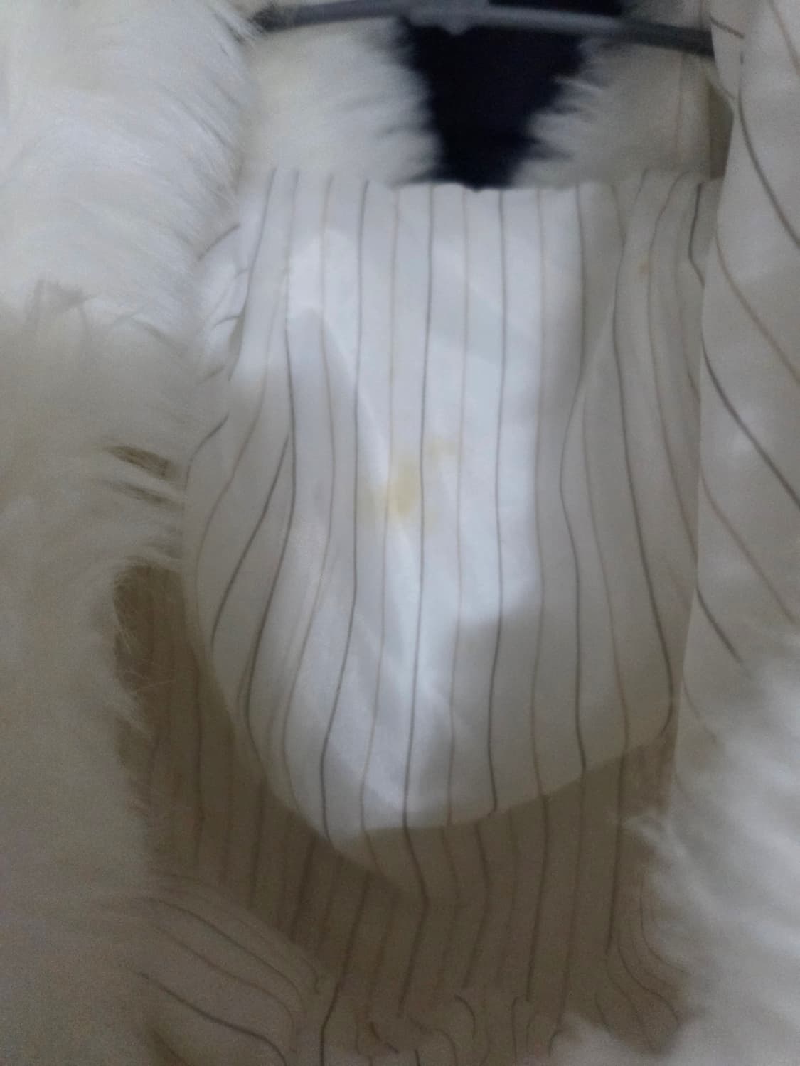 세실맥비 화이트 코트 상품이미지4