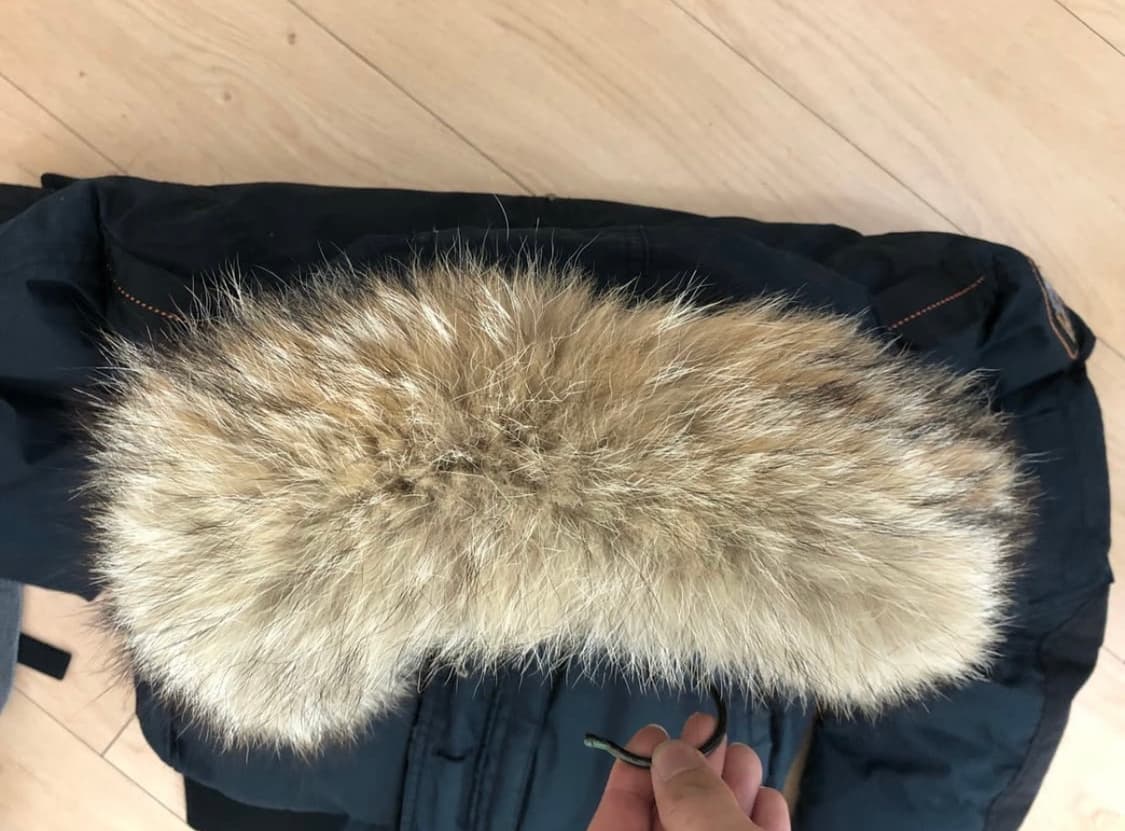 파라점퍼스 트라이브 m사이즈 급처 상품이미지2