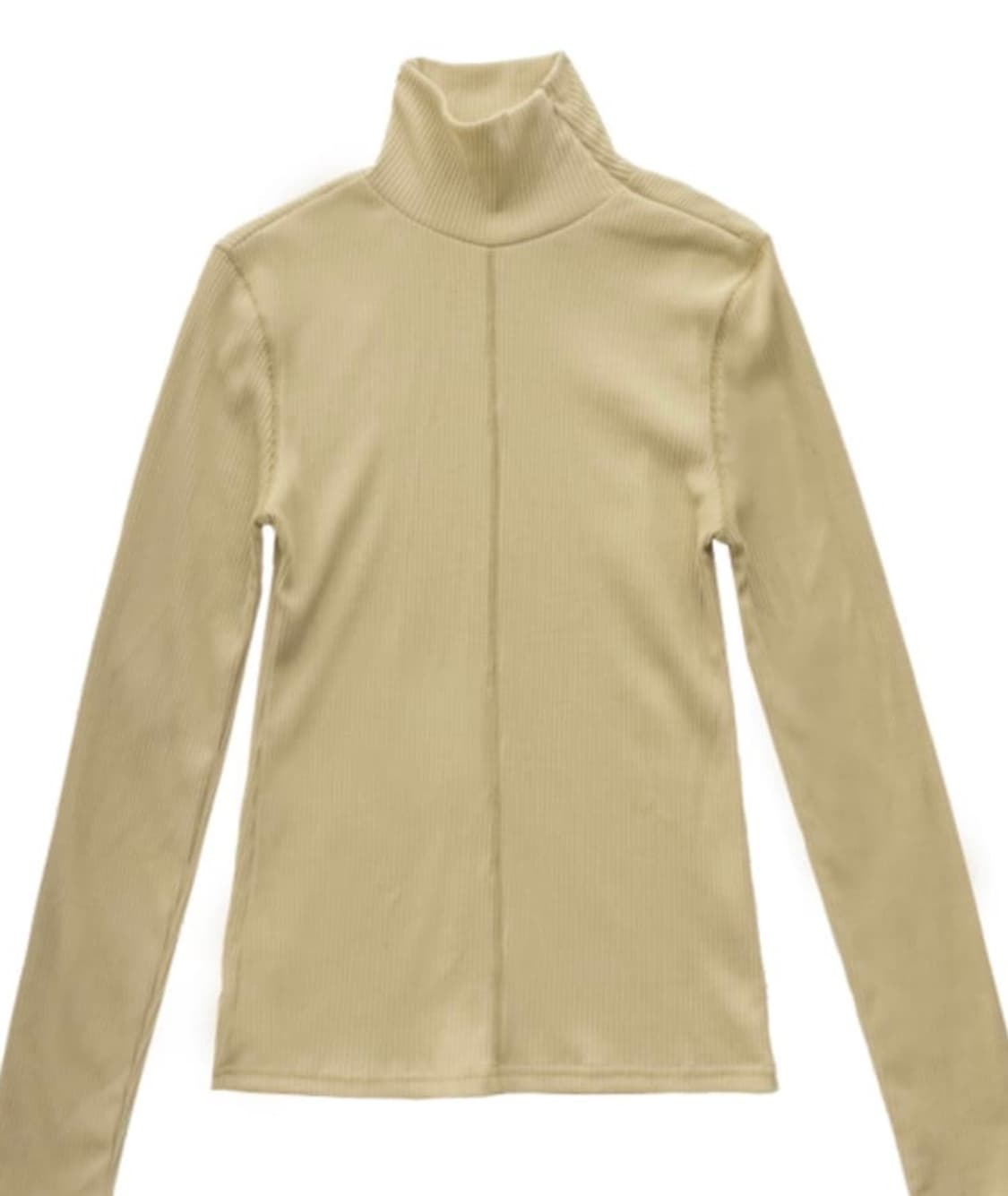 애옹쓰 터틀넥 Zip Turtleneck Top 상품이미지1