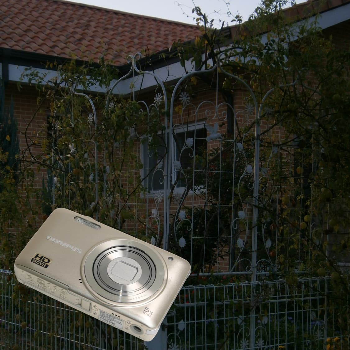 Olympus VG-135(✨민트급/🎁풀패키지) 상품이미지4