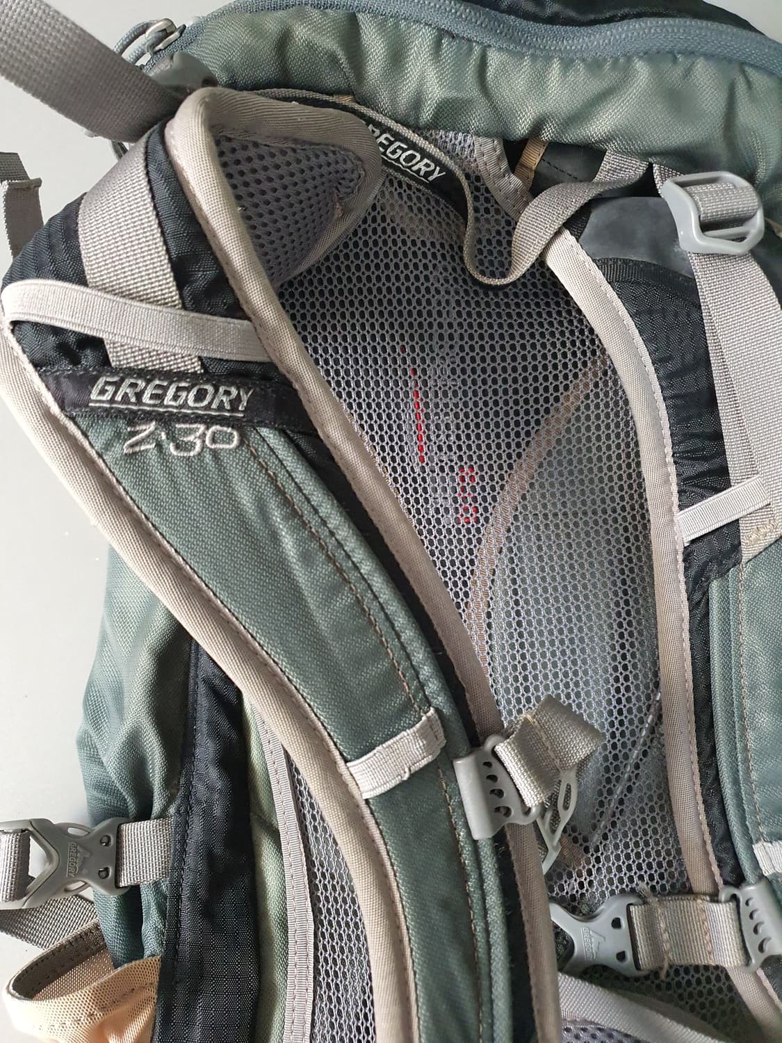 그레고리 Z30 상품이미지5