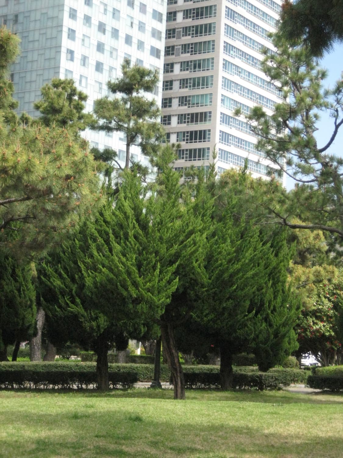 캐논 익서스70(canon ixus70, ixy10) 디카 상품이미지8