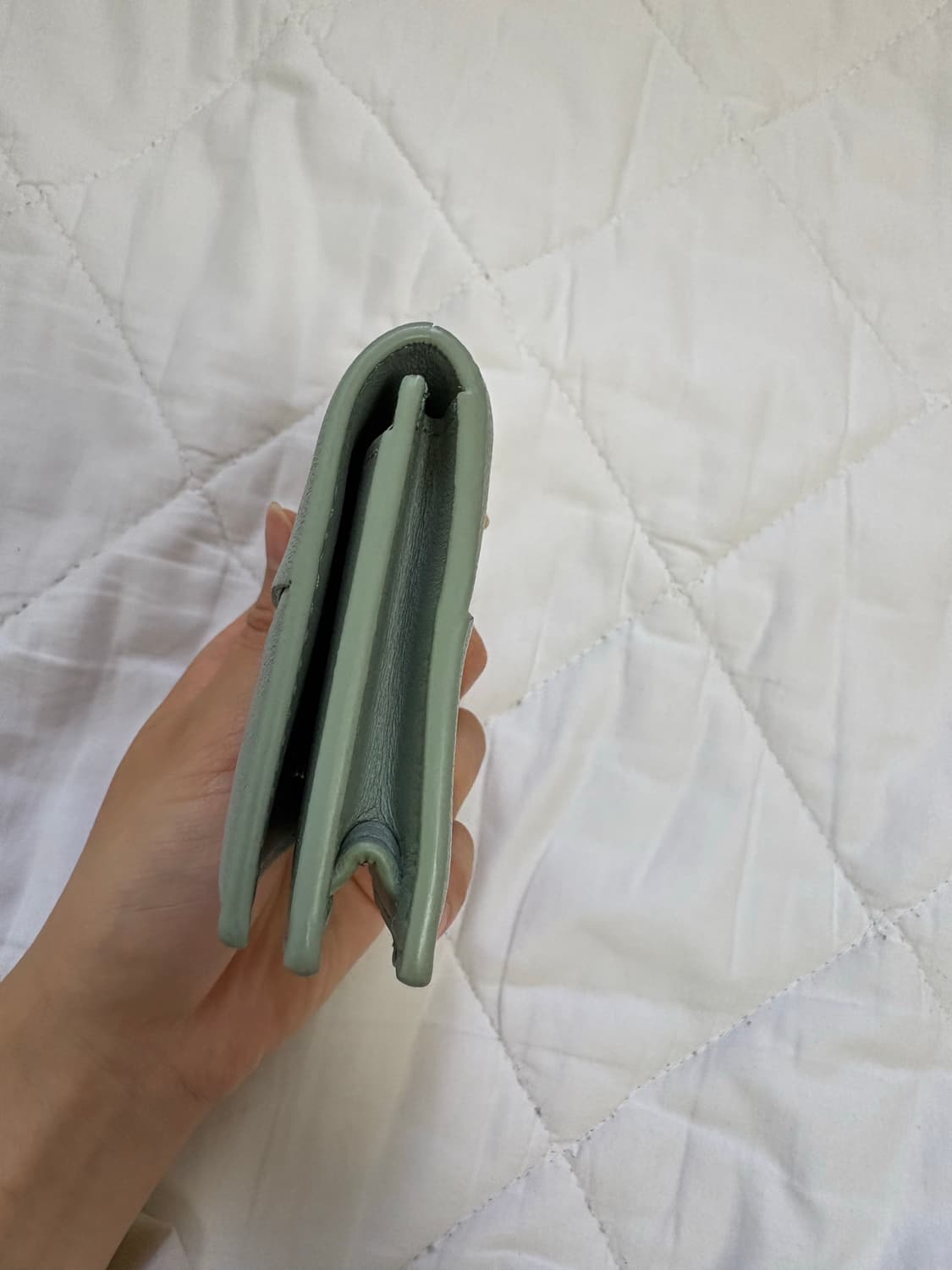 보테가베네타 카세트 명함지갑 뉴 세이지 상품이미지5