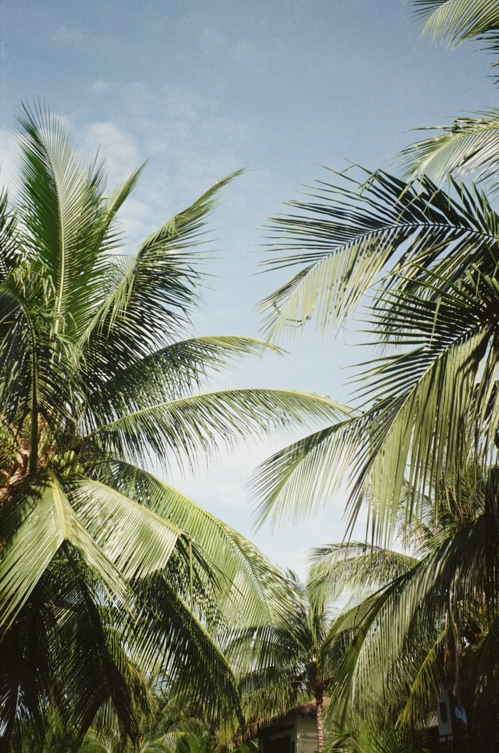 펜탁스 espio에스피오 120sw 필름 카메라  상품이미지7