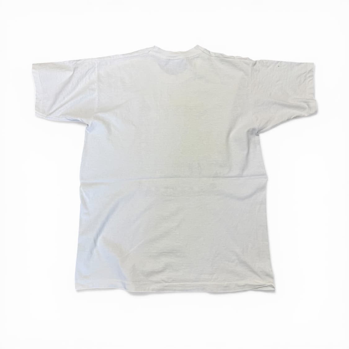 90‘s 빈티지 프루츠 오브 더룸 프린팅 티셔츠 상품이미지2