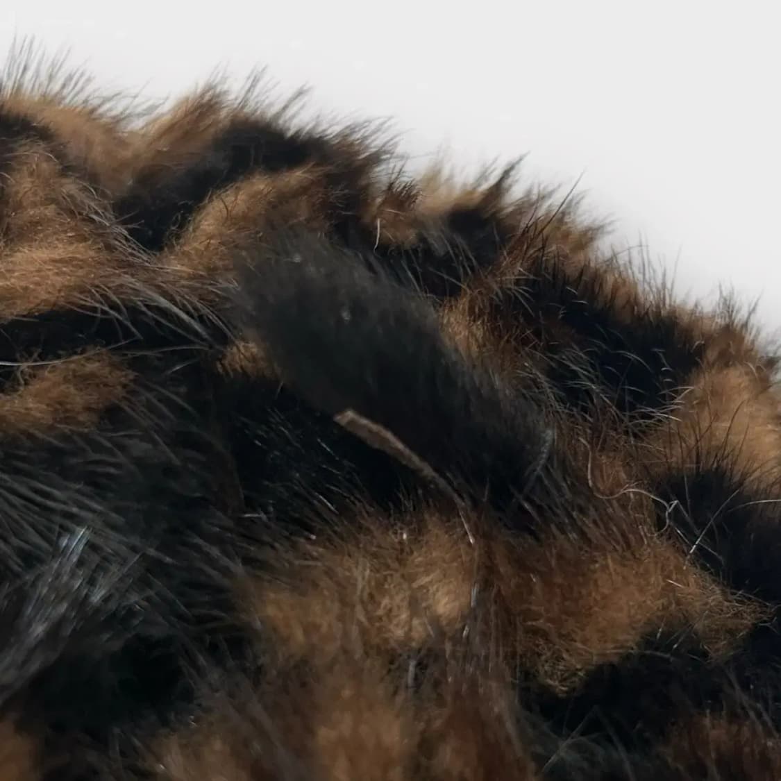 [1490] FORMIZ 천연밍크 니팅 모자 상품이미지7