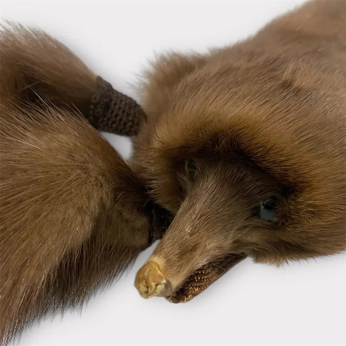 진도 통밍크 털 머플러 브라운(M71) 상품이미지4