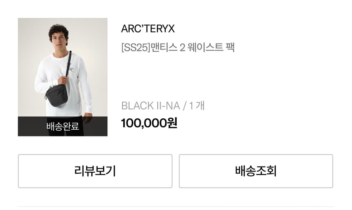 아크테릭스 맨티스2 웨이스트백 상품이미지2