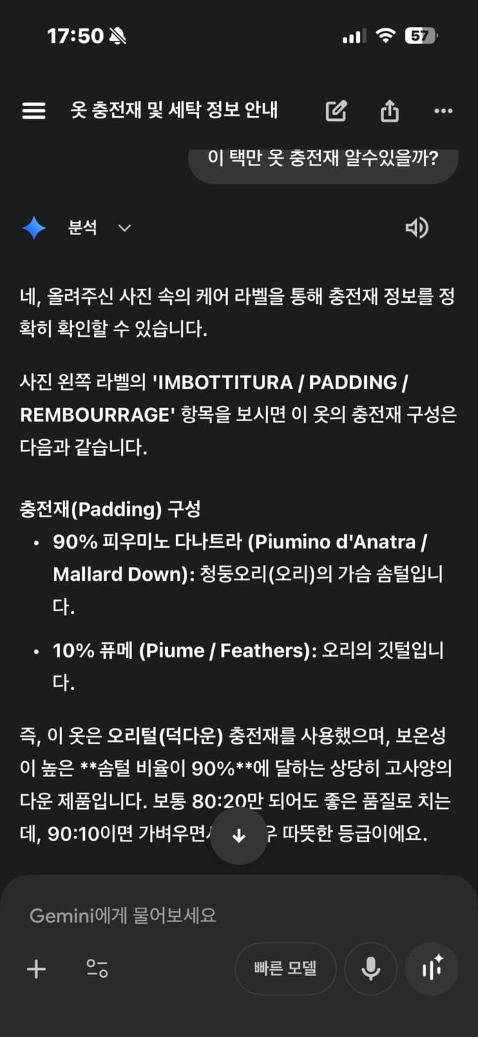 (50)릭오웬스 몰리노 사선패딩 상품이미지6