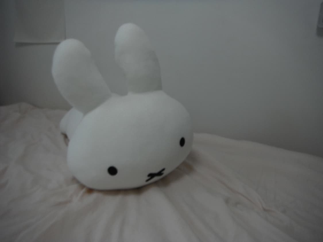 [하자] 후지필름 XP30 (작례O) 상품이미지6