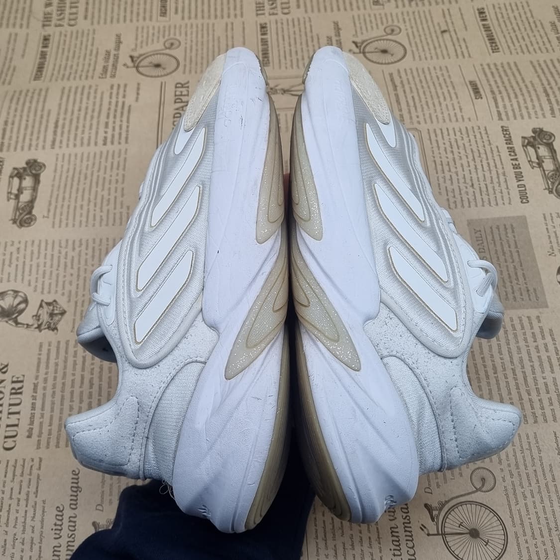 아디다스 오젤리아 여성운동화230 상품이미지5