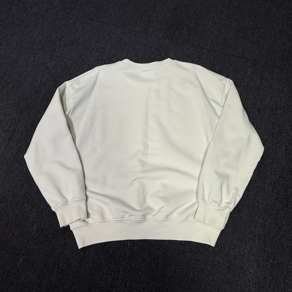 GANNI 가니 24SS 이솔리 오버사이즈 맨투맨 상품이미지5