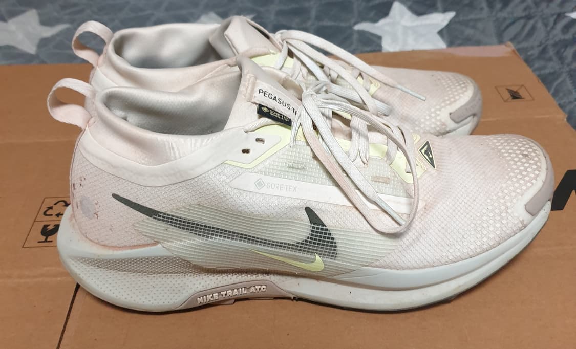나이키 고어텍스 페가수스 트레일5 런닝화 겸 트레킹화 (275) 상품이미지1