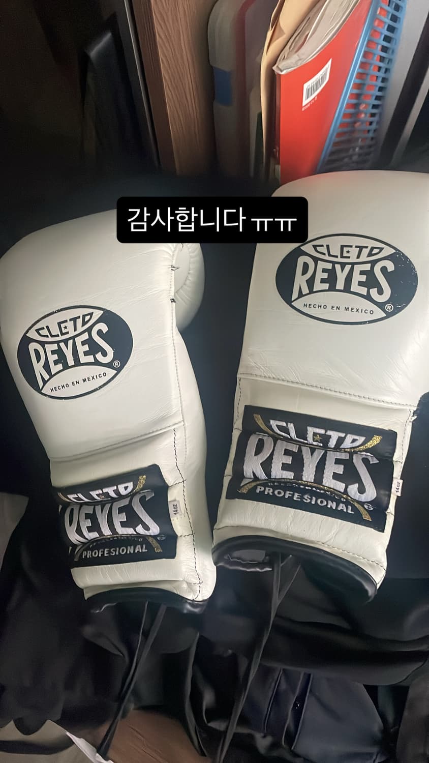 클레토레예스 글러브 상품이미지2