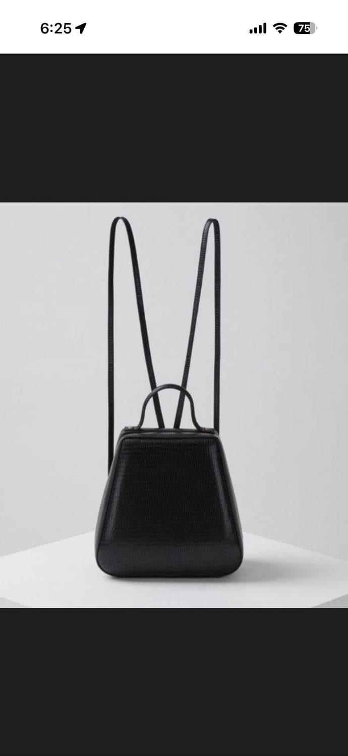 아카이브앱크 쉘틴백 리자드 블랙 상품이미지4