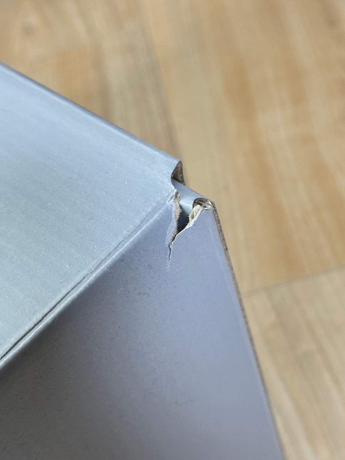 발렌시아가 3xl 레드 43 상품이미지10