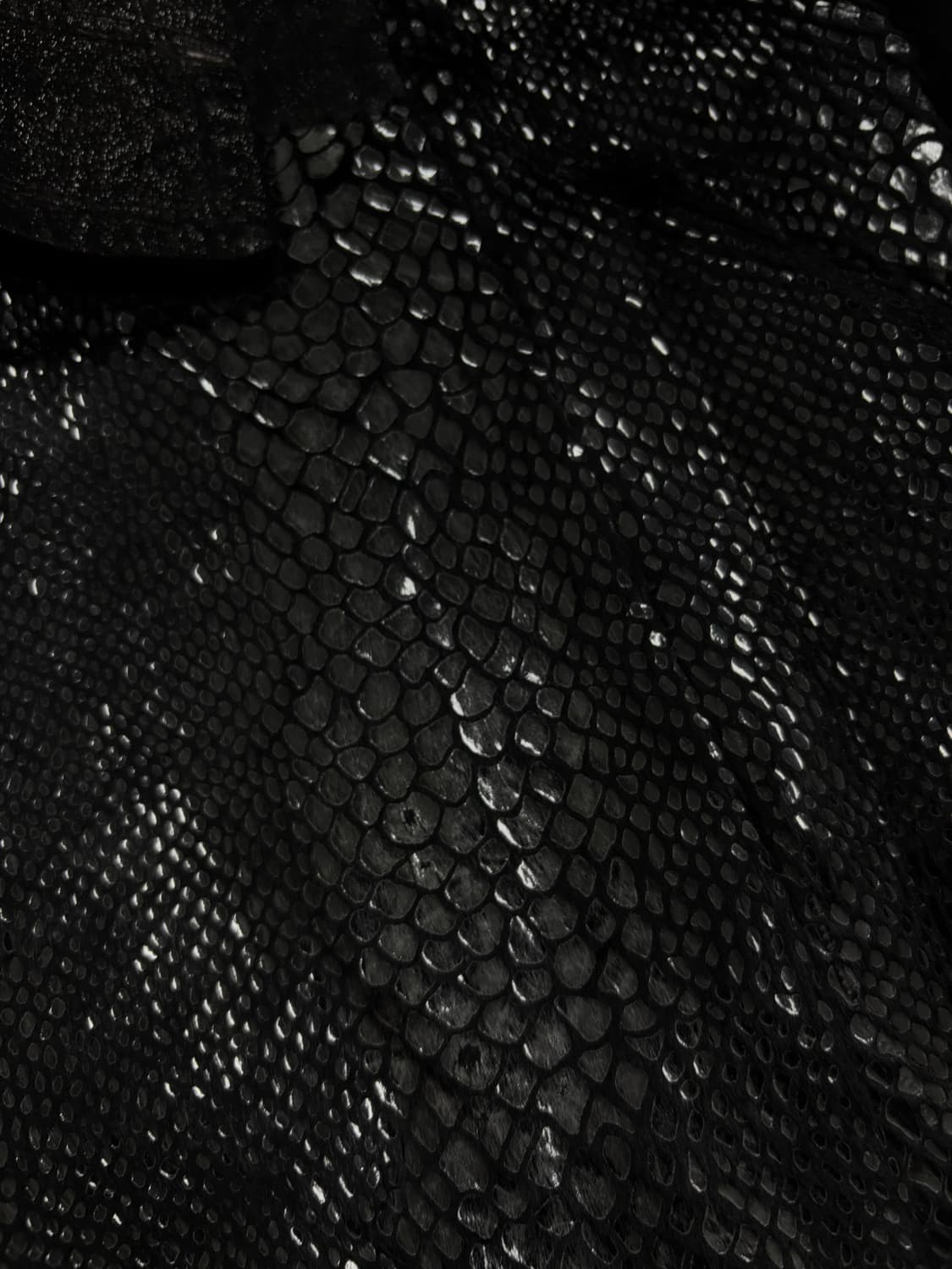  V-Kei Rare Python Design Studded Fur Tr 상품이미지4