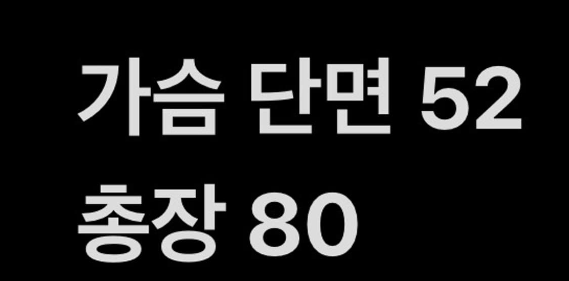 [ 95 ] 롯데 자이언츠 반팔 싸인 유니폼 b16 상품이미지6