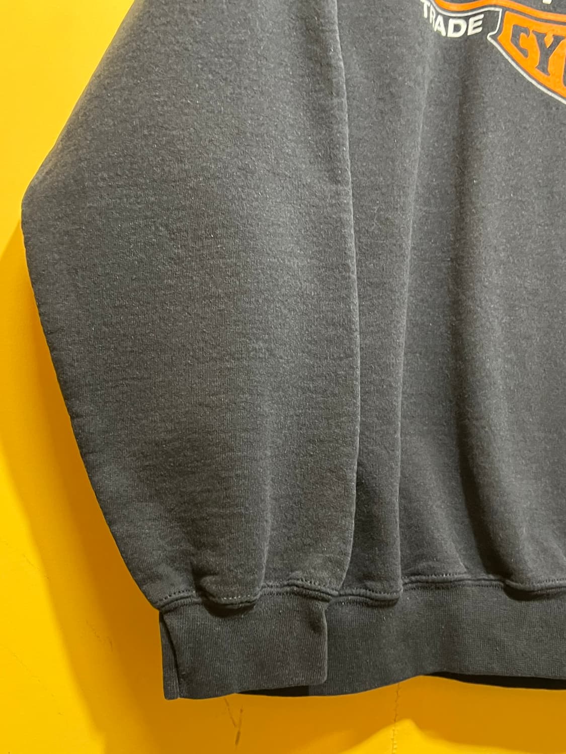 [L] 할리데이비슨 SLIVER EAGLE 맨투맨 블랙 스웨트셔츠 상품이미지4