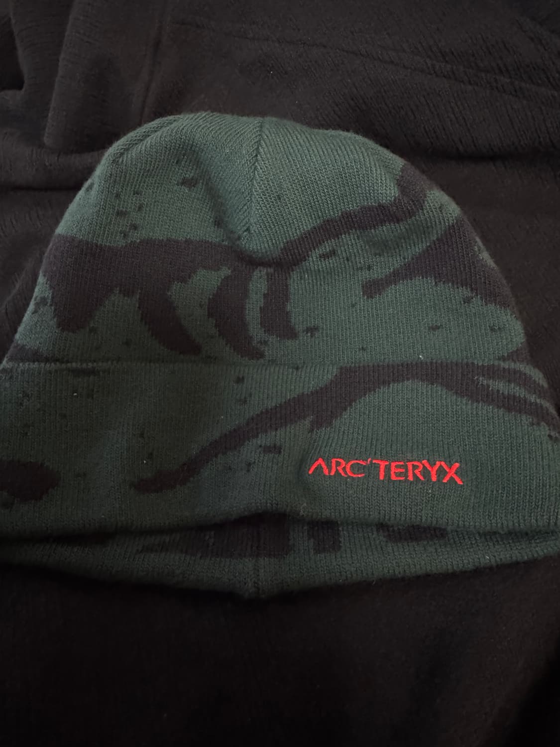 아크테릭스 그로토 토크 비니 상품이미지4