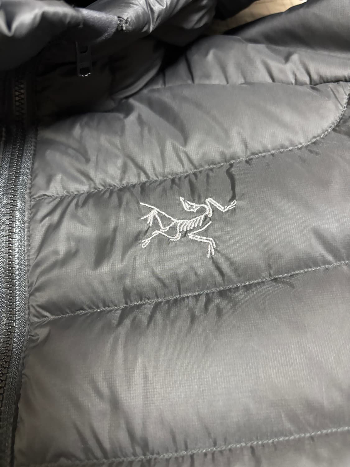 아크테릭스 세륨 후디 블랙 L 상품이미지1