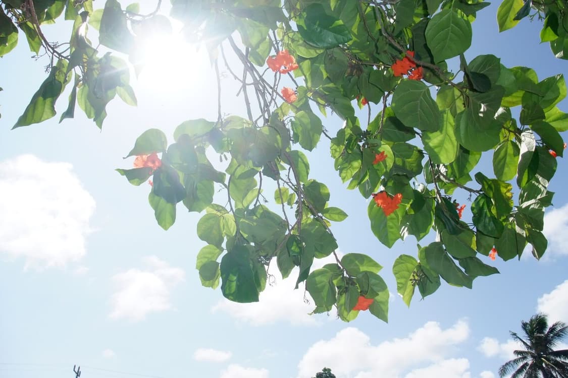 [아일릿원희&뽀용!] 후지필름 파인픽스 F100fd 디지털카메라 상품이미지8