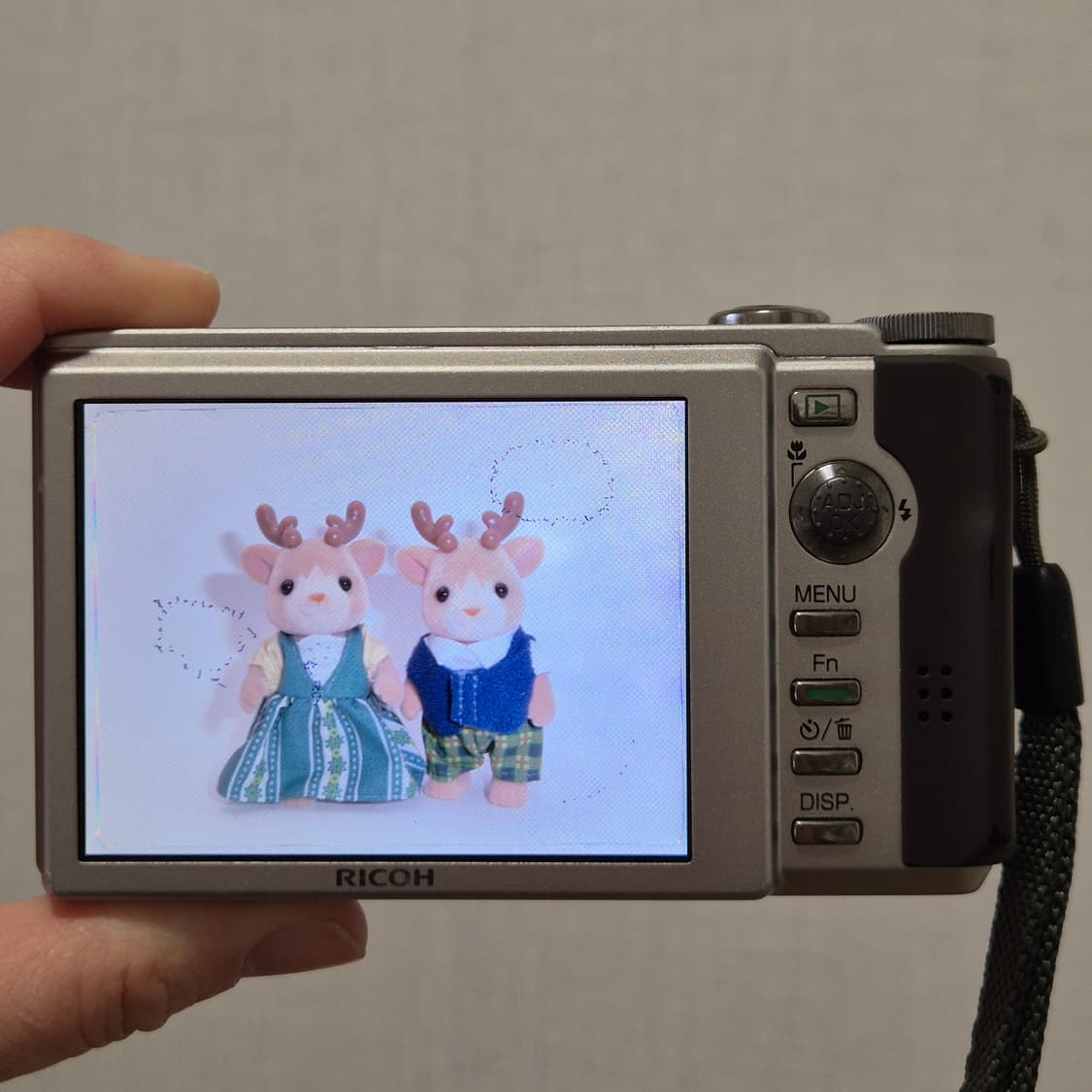 ricoh R10 실버 ✨ 감성 스냅에 딱 좋은 디카 상품이미지6