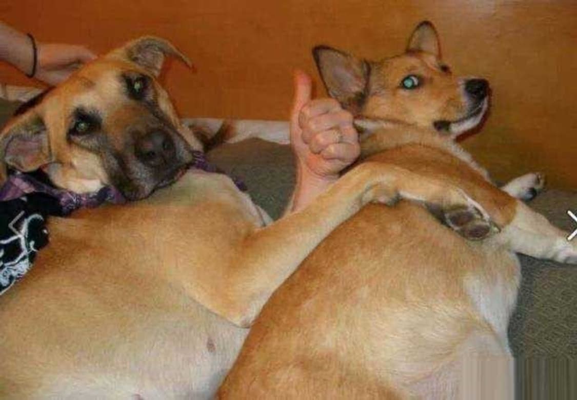 iouoxxxxxx님 슈프림 결제창 상품이미지2