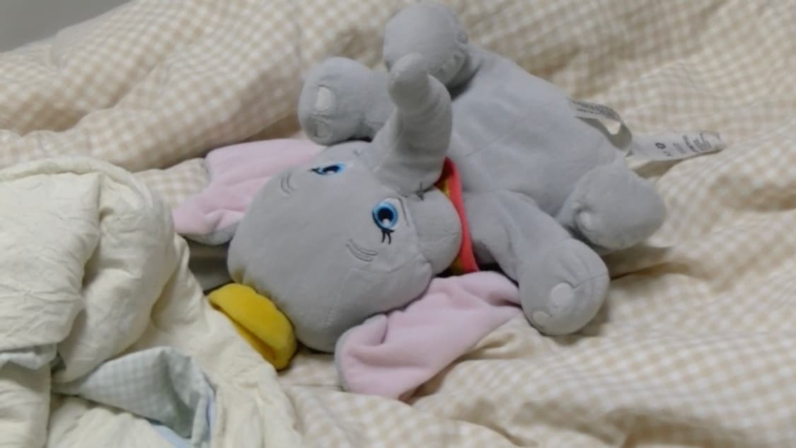 풀구성 JVC Everio GZ-V675 빈티지캠코더 빅터 V590 디카 상품이미지9